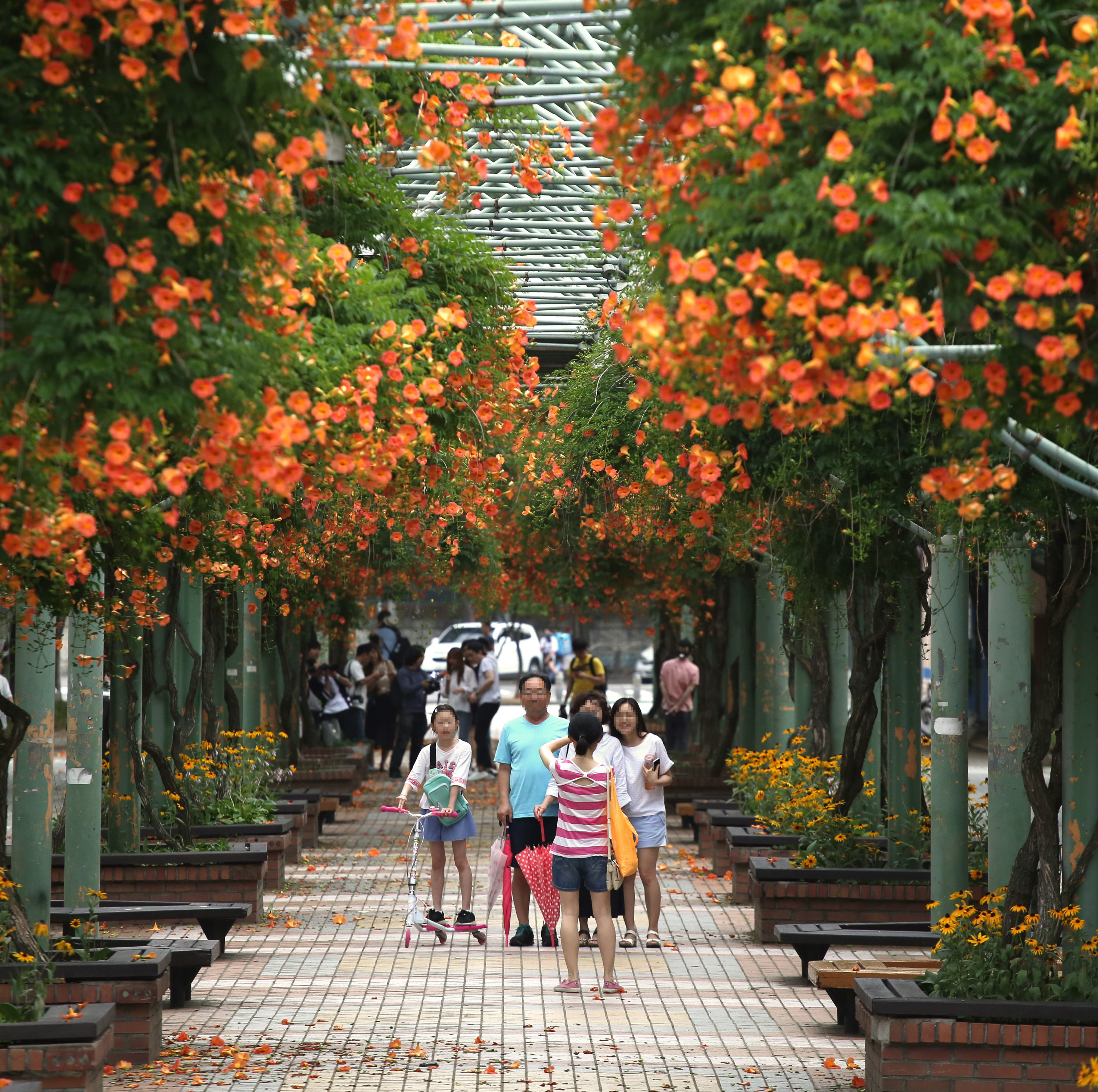 Bucheon: A People-Friendly Vision
